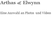 Arthas & Elwynn Eine Auswahl an Photos und Videos